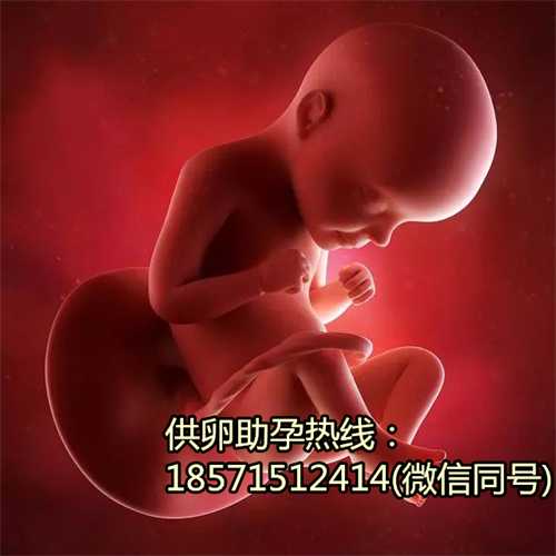天津包生双胞胎男孩,2020年与2019年对比