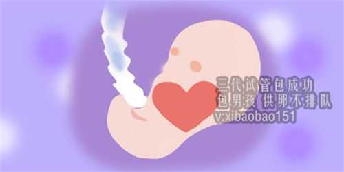 供卵福康代孕,自己去泰国试管婴儿办理手续多少钱？